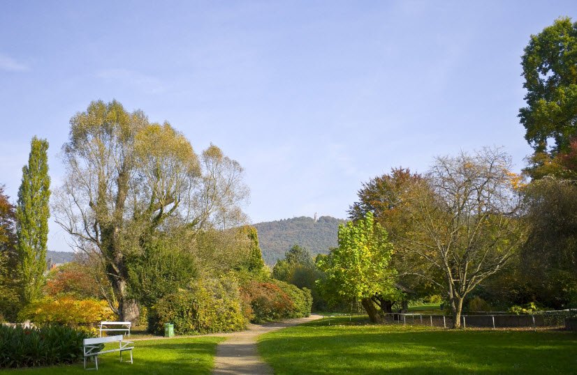 Alter Botanischer Garten, Marburg, Germany, Germany